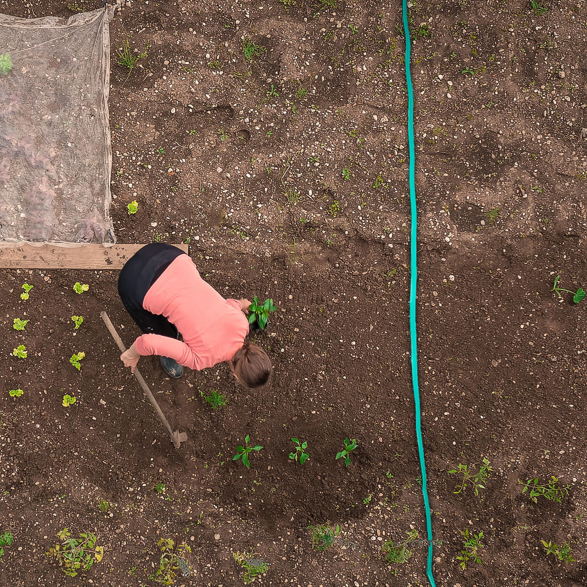 BEWÄSSERUNGSSCHLAUCH - Grün, Kunststoff (3.5cm) - Relaxdays