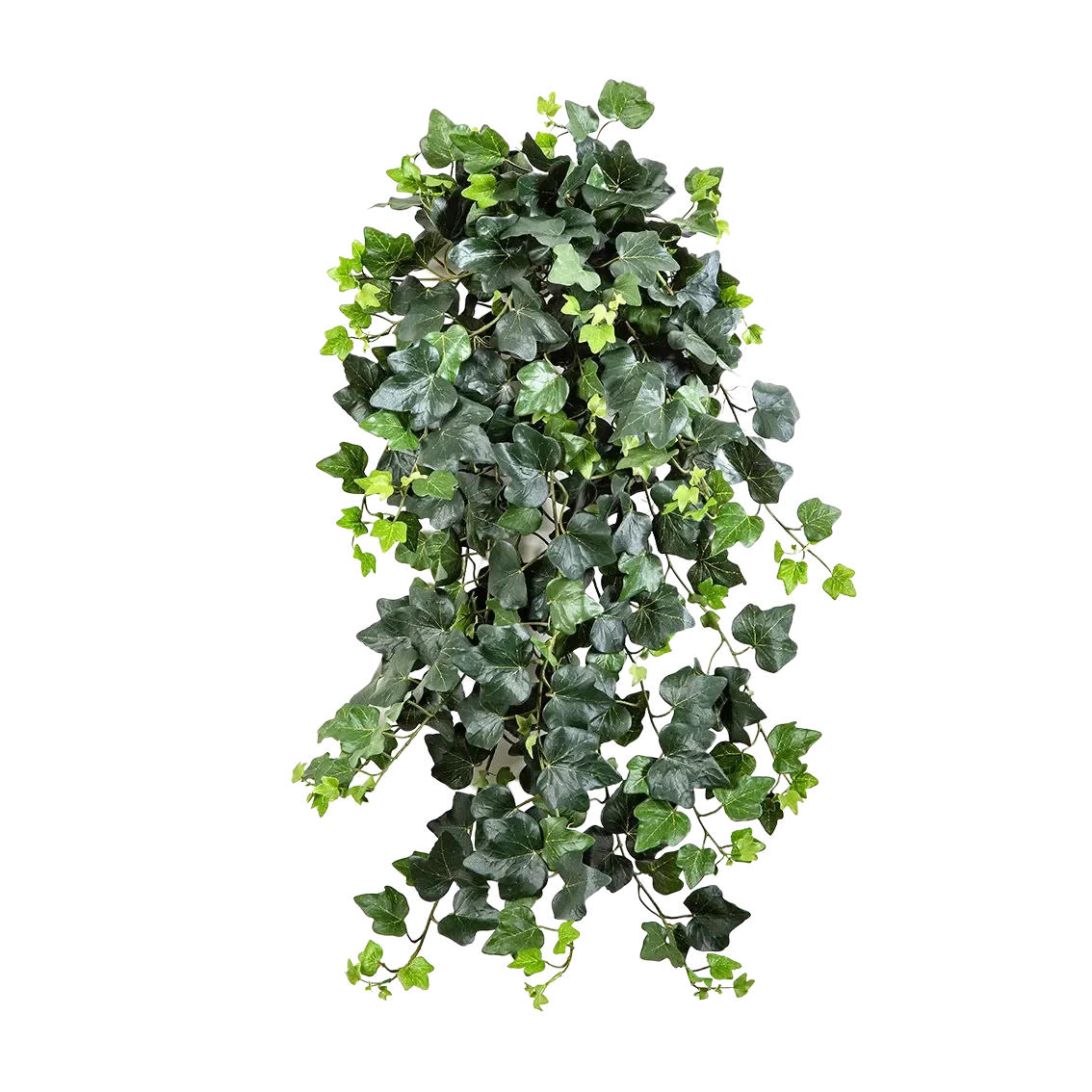 KUNSTPFLANZE Künstlicher Efeu - Emma 75 cm - Multicolor, Kunststoff (75cm) - aplanta