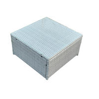 QUADRAT COUCHTISCH Polyrattan Helles Grau 1-teilige - Hellgrau, Metall (65/65/34cm) - Fimous