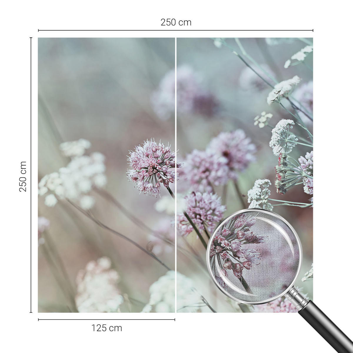 FOTOTAPETE 250x250 cm - Wildblumen - Weiß, Textil (250/250cm) - Wallfluent