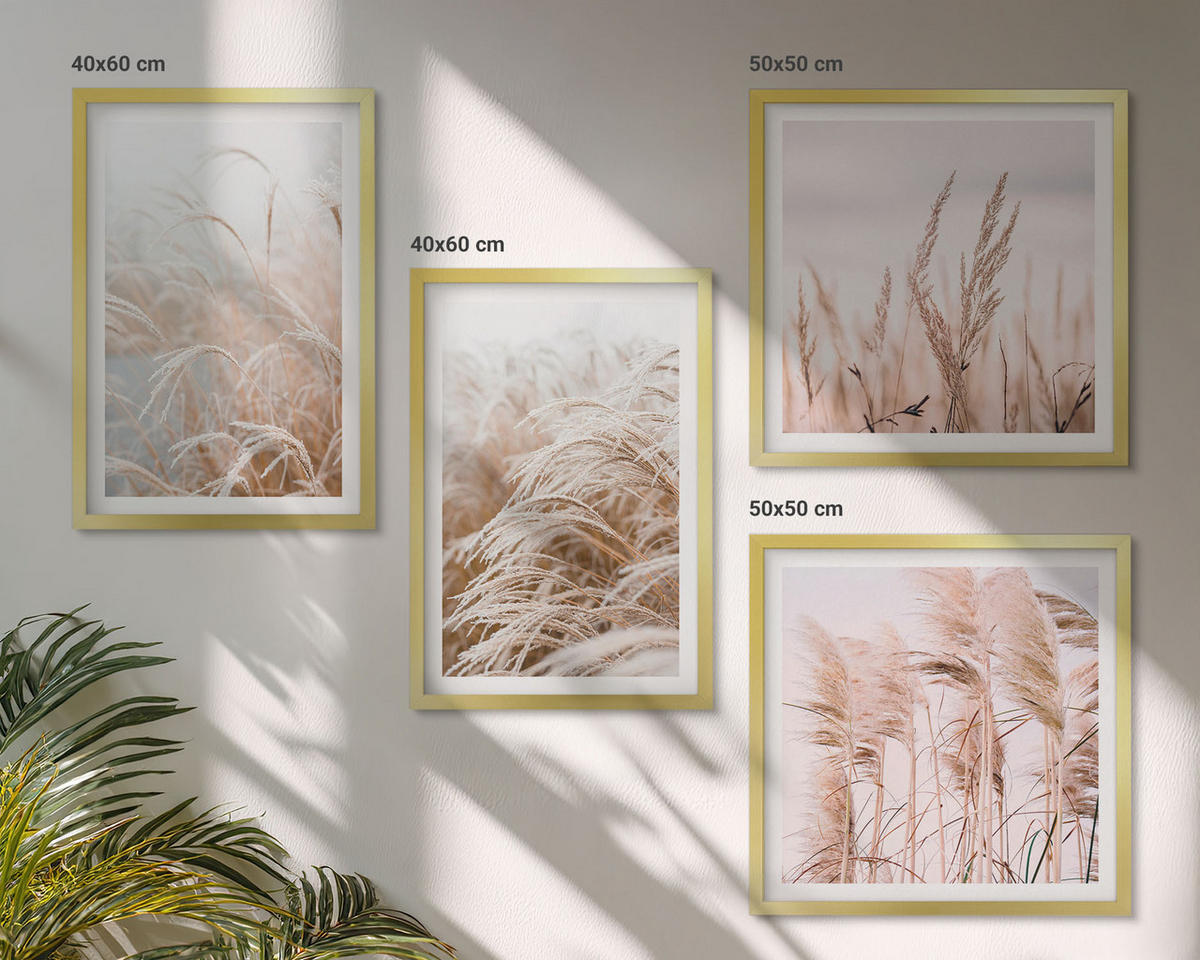 BILDER SET 4er Set - 50x50 cm & 40x60 cm Goldrahmen - Grasfelder in Braun- und Beigetönen - Goldfarben, Kunststoff (50/50cm) - TULUP