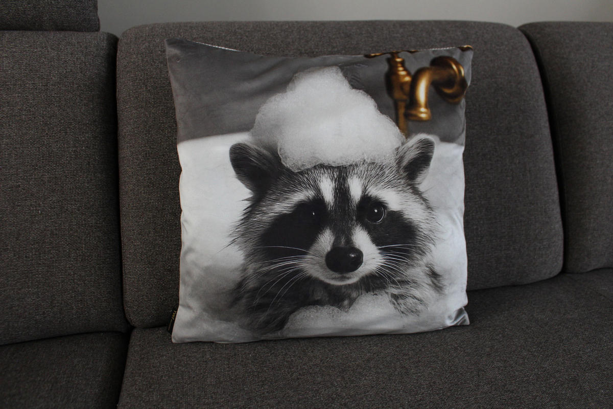 KISSENHÜLLE WASCHBÄR BILL Schaumbad - Grau, Textil (45/45cm) - Yve! decoration