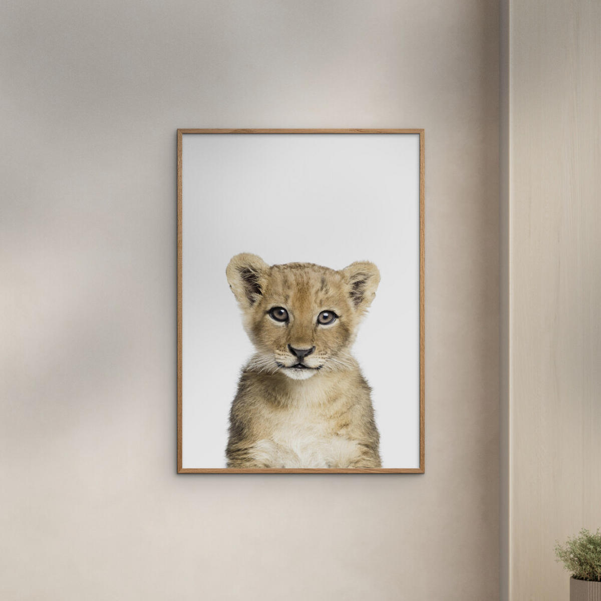 POSTER mit Rahmen Kathrin Pienaar - Baby Lion - Eichefarben/Weiß, Holz/Papier (70/100cm) - Poster&Frame