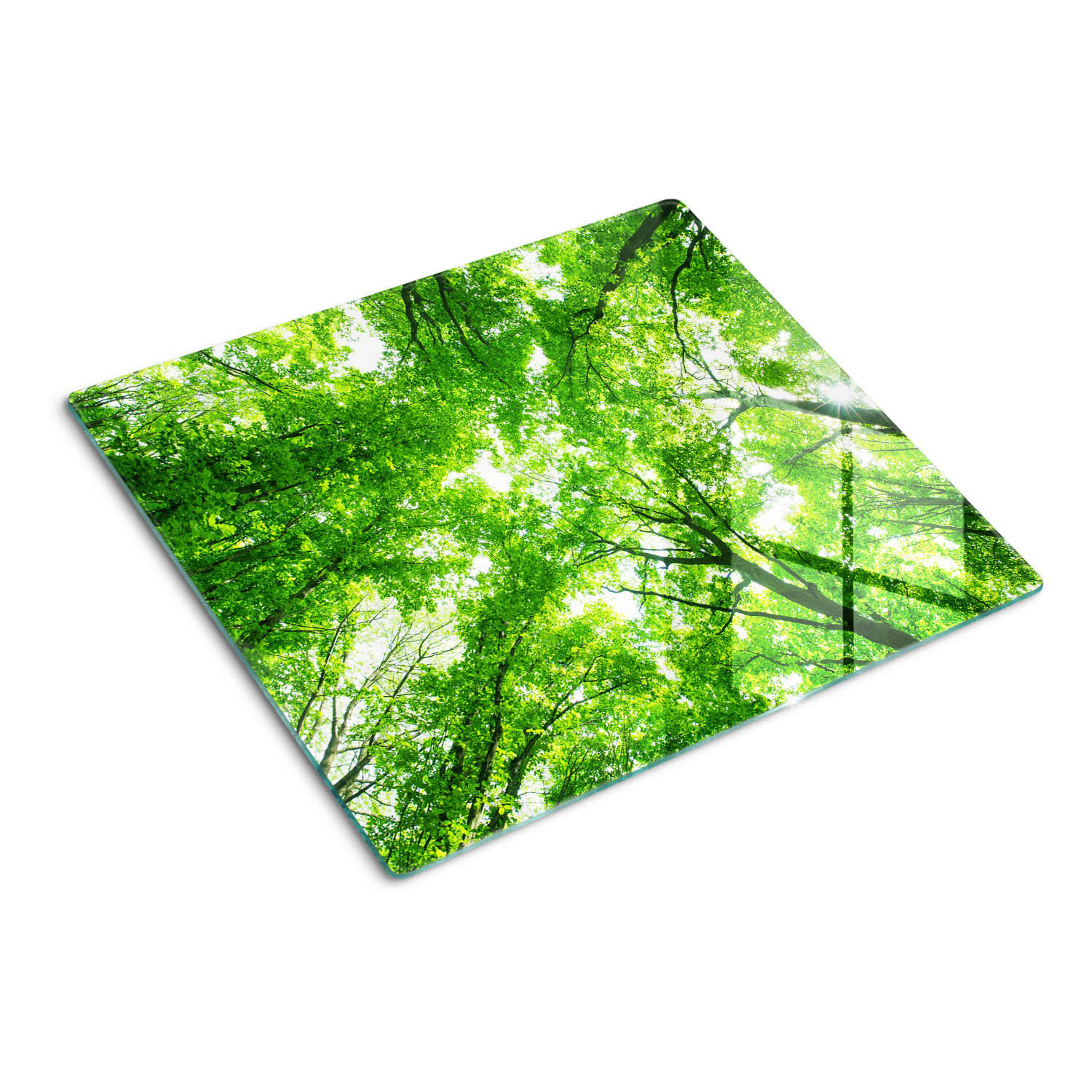 GLASPLATTE 60x52 cm Grüner Wald - Grün, Glas (60/0.4/52cm) - TULUP