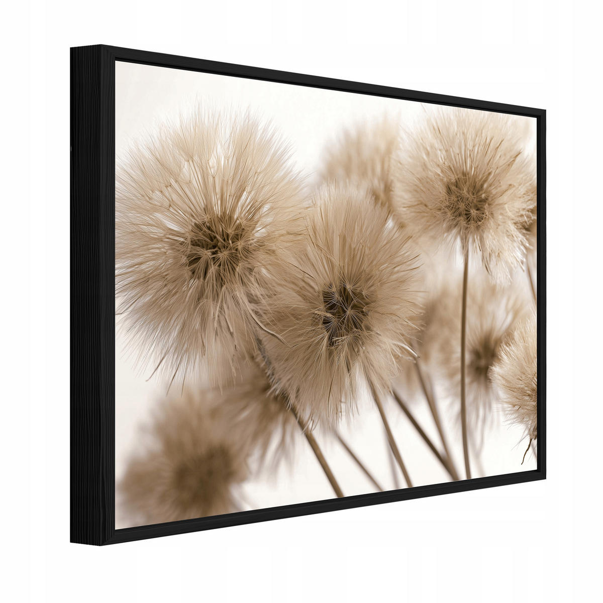 BILDER mit Rahmen Pusteblumen Blumen Beige 60x40 cm - Multicolor, Holzwerkstoff (60/40cm) - Wallarena