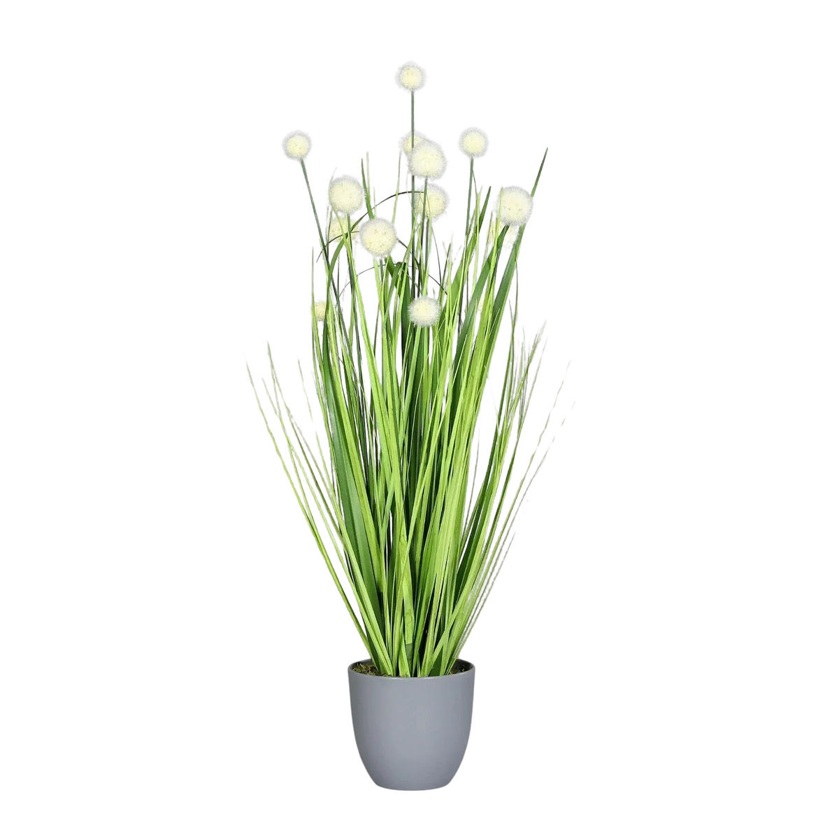 GRASARRANGEMENT Künstliches Grasarrangement - Pan 75 cm - Grün, Kunststoff (75cm) - aplanta