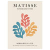 POSTER Vitor Costa - Matisse floral Poster 3 - Multicolor, Papier (70/100/0.1cm) - Poster&Frame