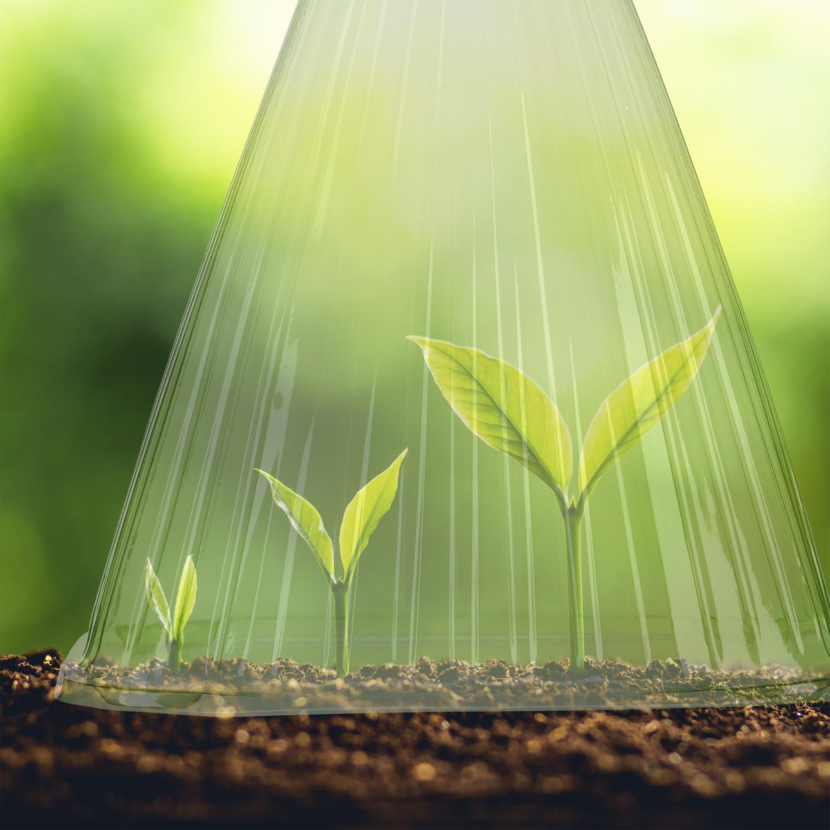 24XKAPE za biljke - zelena, plastika (19.5/22/18.5cm) - Relaxdays