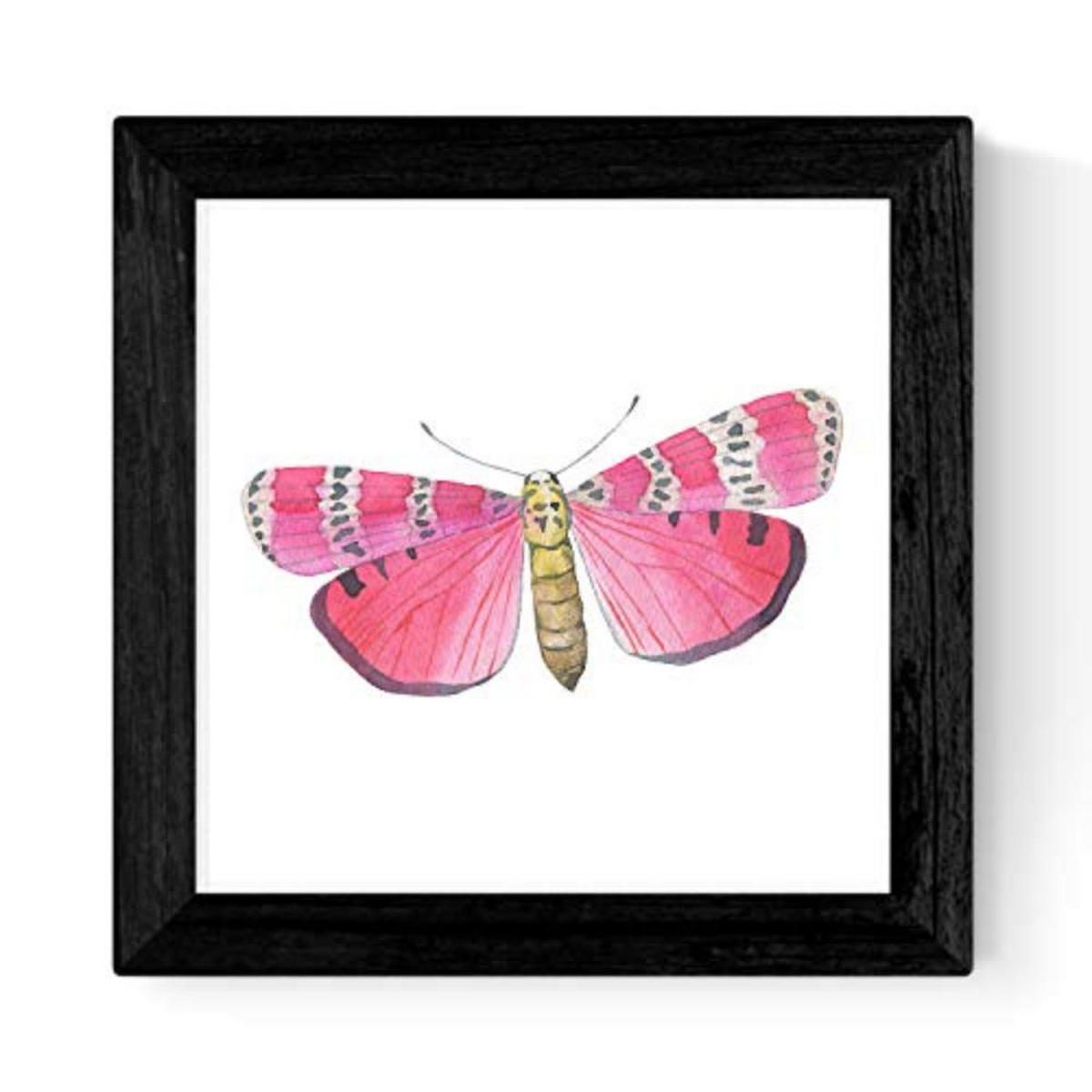 POSTER Set mit 4 Schmetterlinge 30x30 cm Schwarzer Rahmen - Schwarz, Papier (30/3cm) - Nacnic