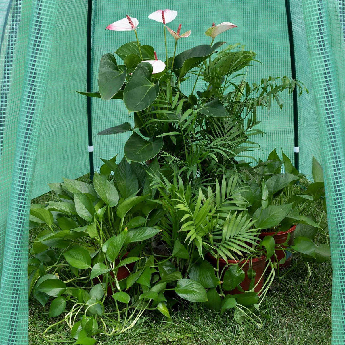 FOLIENGEWÄCHSHAUS, PE-halbdurchsichtiges Tomatengewächshaus - Grün, Textil/Metall (160/180/160cm) - Woltu