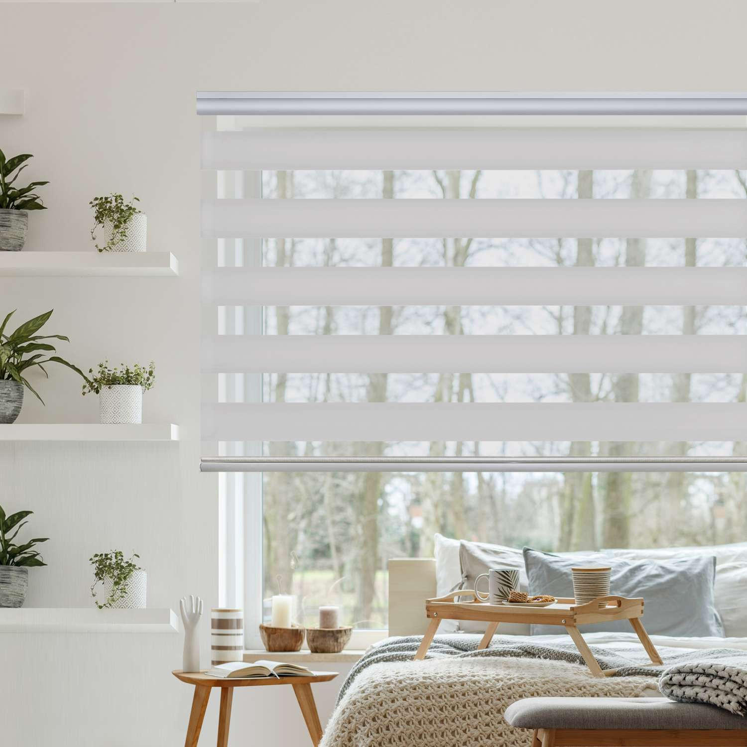 DOPPELROLLO Hellgrau 80x250 cm - Hellgrau, Kunststoff (80/250cm) - STORESDECO