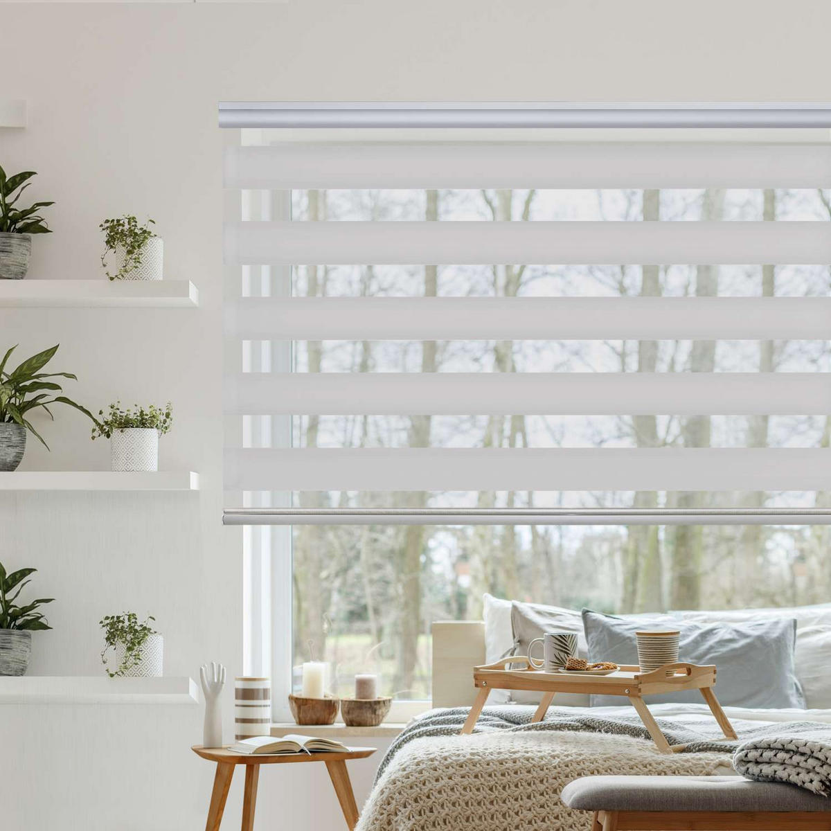 DOPPELROLLO Hellgrau 80x250 cm - Hellgrau, Kunststoff (80/250cm) - STORESDECO