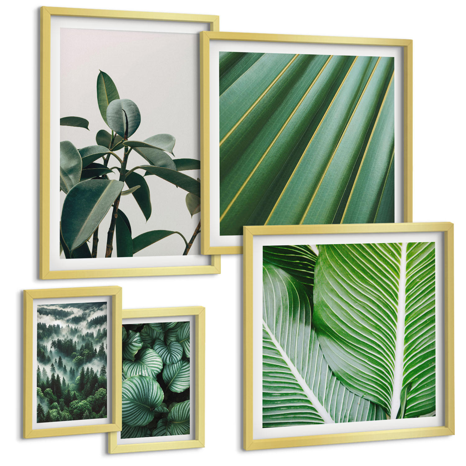 BILDER SET 5er Set - 50x50 cm & 20x30 cm & 40x60 cm Goldrahmen - Tropische Blätter in Grün - Goldfarben, Kunststoff (40/60cm) - TULUP