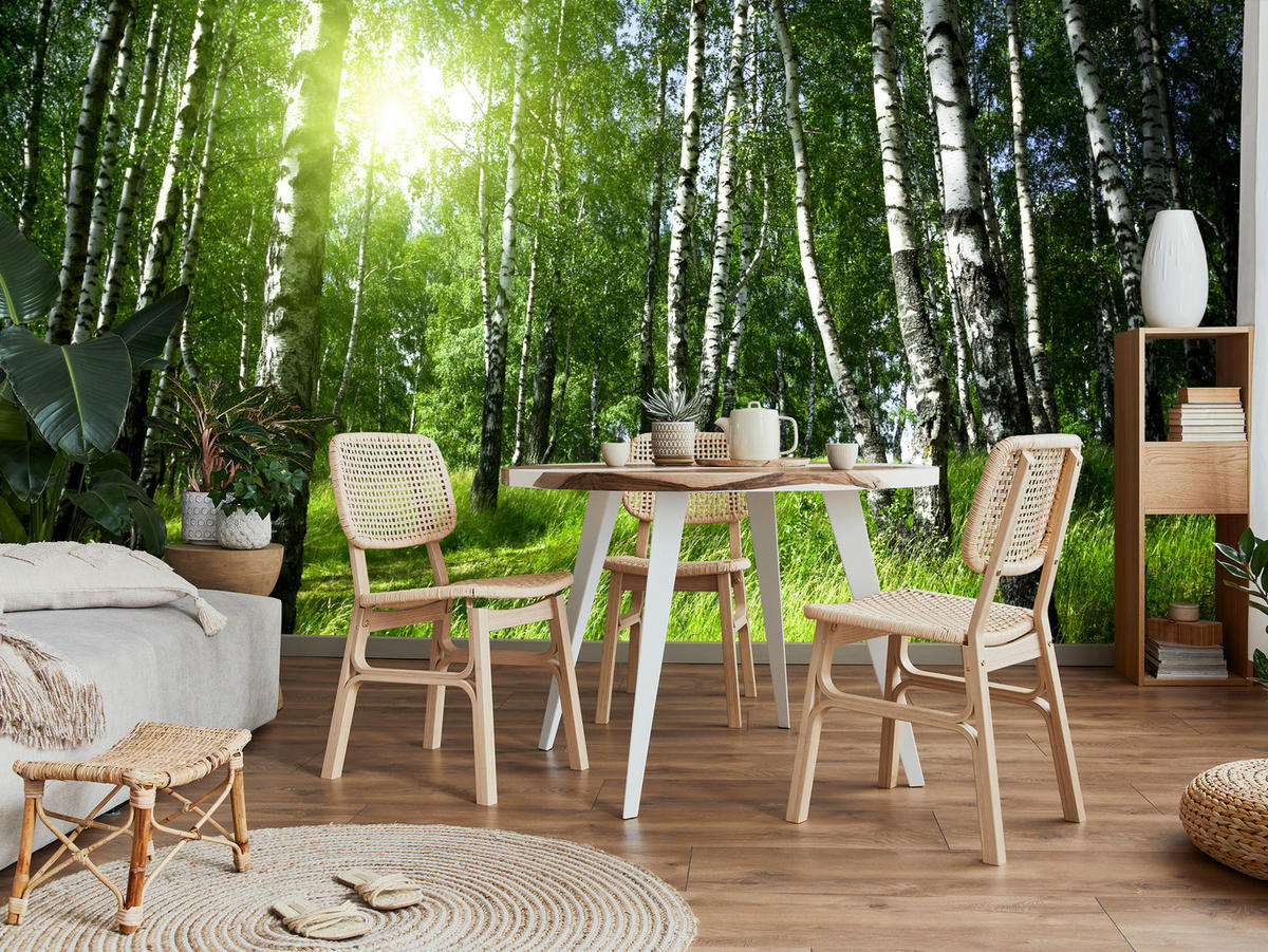 FOTOTAPETE für Wohnzimmer Grüner Birkenwald Gras Sonne Natur 200x140 - Schwarz/Weiß, Papier (200/140cm) - Muralo