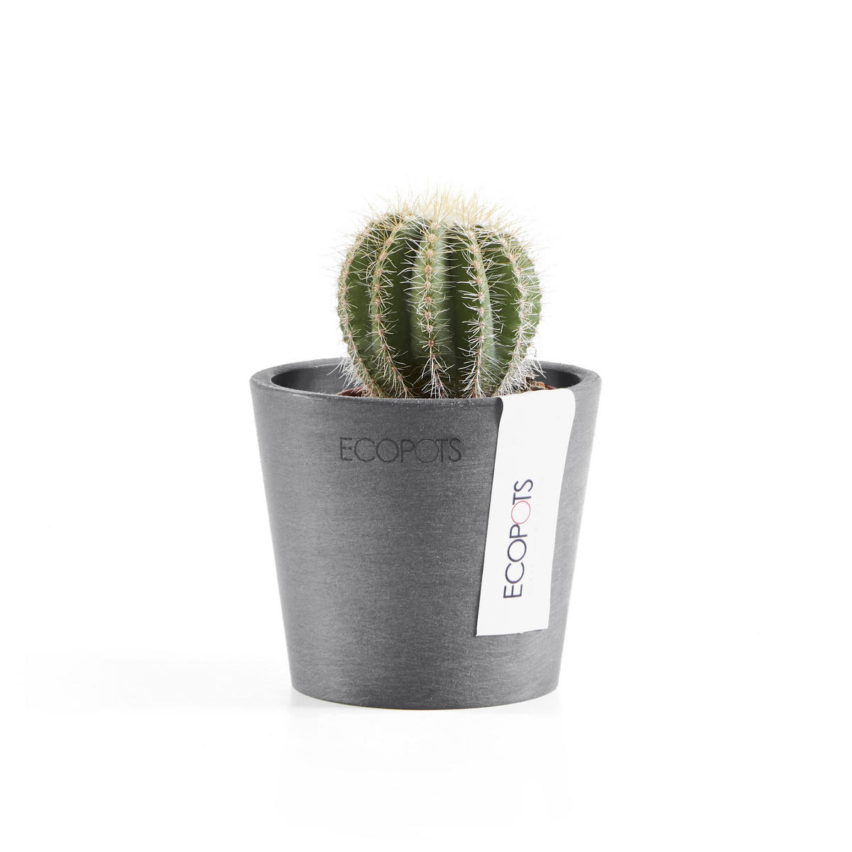 BLUMENTOPF Amsterdam46211cm Grau - Grau, Kunststoff (8/7cm) - Ecopots