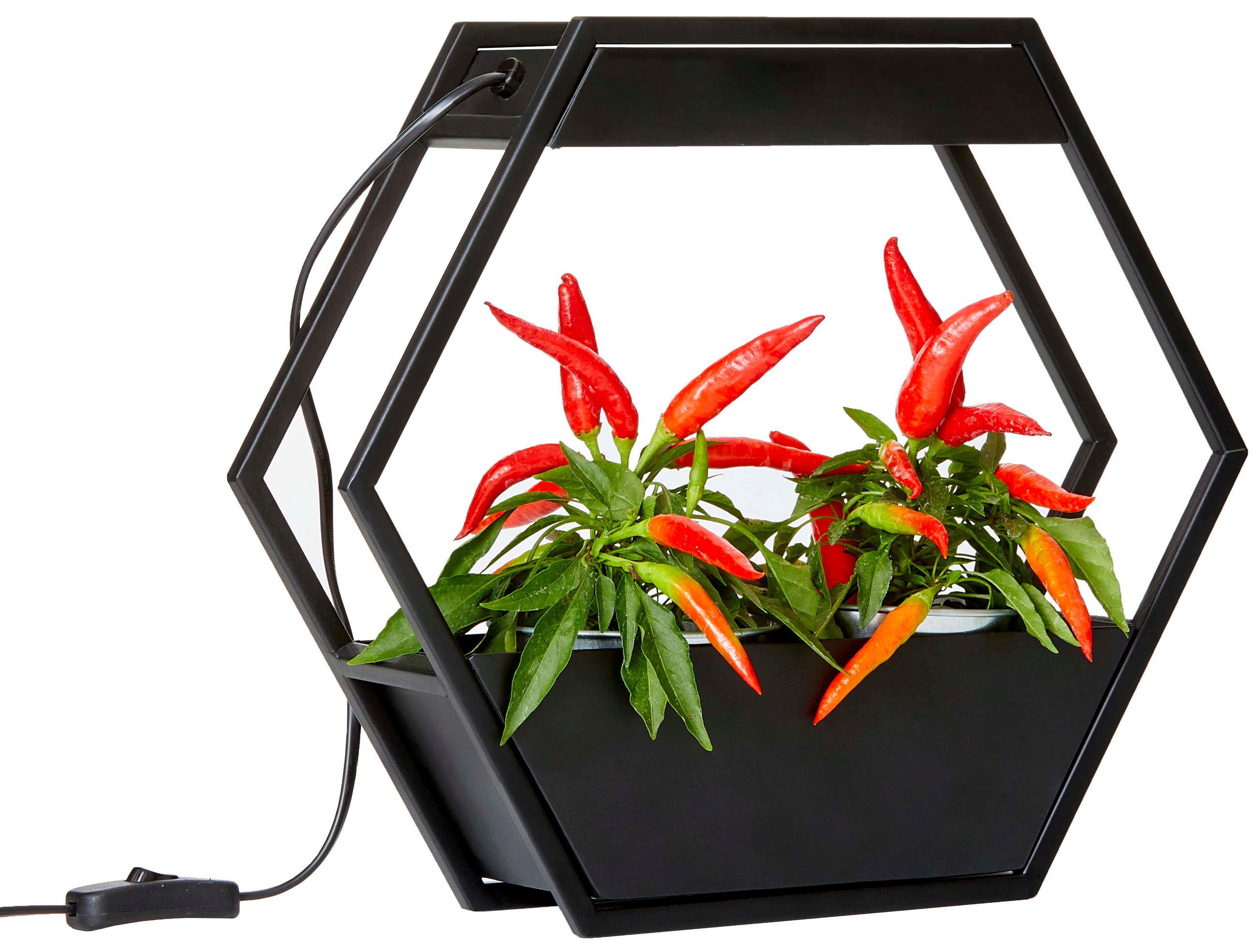 Northpoint Led-Pflanzenlampe Schwarz 37.6x32.5x10 cm