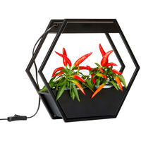 LED-PFLANZENLAMPE - Metallgestell im Industrial-Look mit Timer für Kräutergarten und Innengarten - Schwarz, Metall (37.6/32.5/10cm) - Northpoint