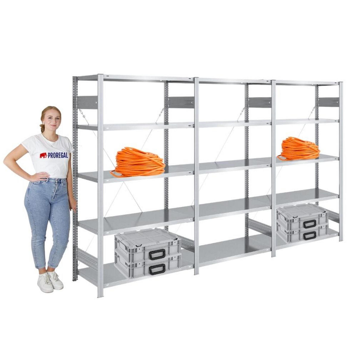 SCHWERLASTREGAL Silver Mamba 200x300x50cm 5 Ebenen je 150kg Fachlast Verzinkt - Silberfarben, Metall (300/200/50cm) - PROREGAL