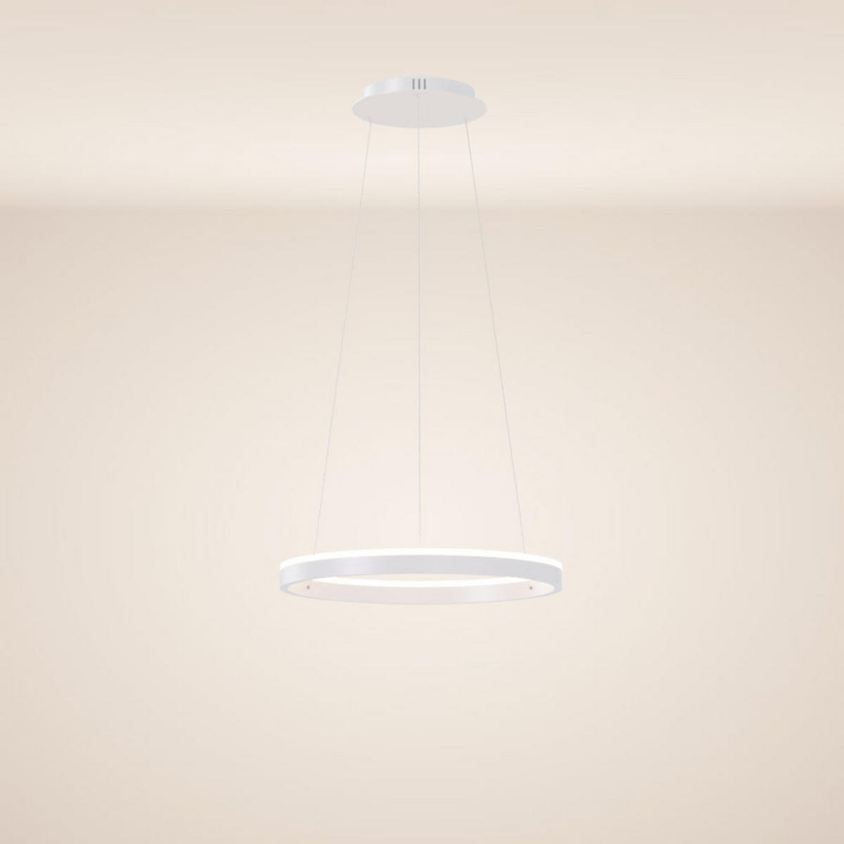 LED-HÄNGELAMPE Ring Weiß Ø 40cm - Weiß, Metall (40/40/3.3cm) - s.luce