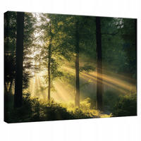 LEINWANDBILD Wald Natur Modern Wohnzimmer 120x80 - Multicolor, Holzwerkstoff (120/80cm) - Wallarena