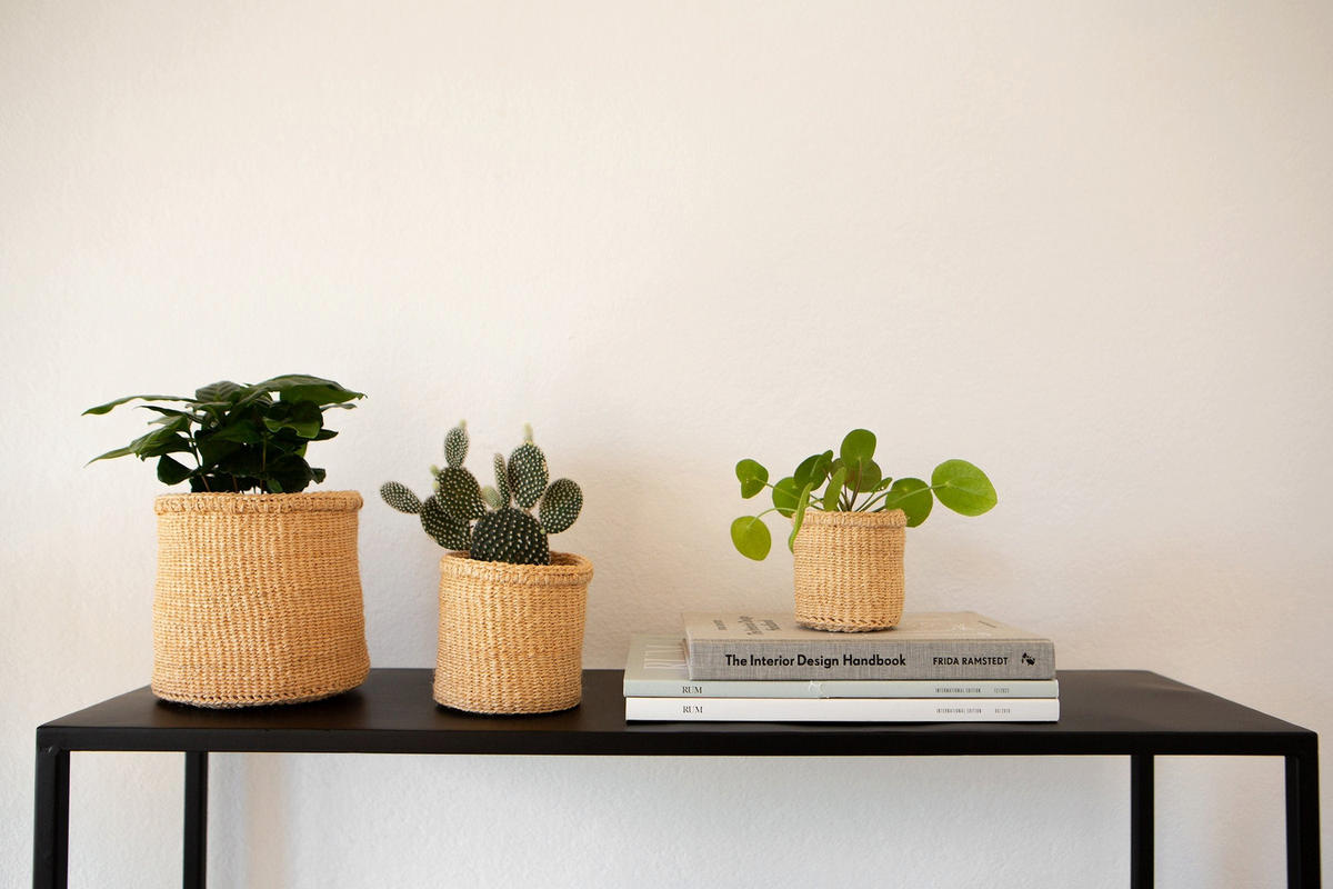 KORBSET 3-teilig Elani in Natur aus Sisal - Naturfarben, Naturmaterialien (14/14/14cm) - LaLe Living