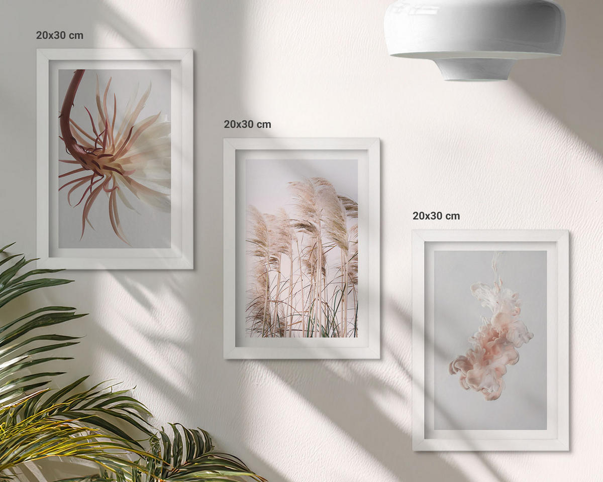 WANDBILDER 3er-Set - 20x30 cm Weißer Rahmen - Set aus Gras, Blumen und hellem Hintergrund - Weiß, Kunststoff (20/30cm) - ArtPrintCave