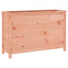 HOCHBEET 119,5x40x78 cm Massivholz Douglasie - Braun, Holz (40/78/119.5cm) - furnicato