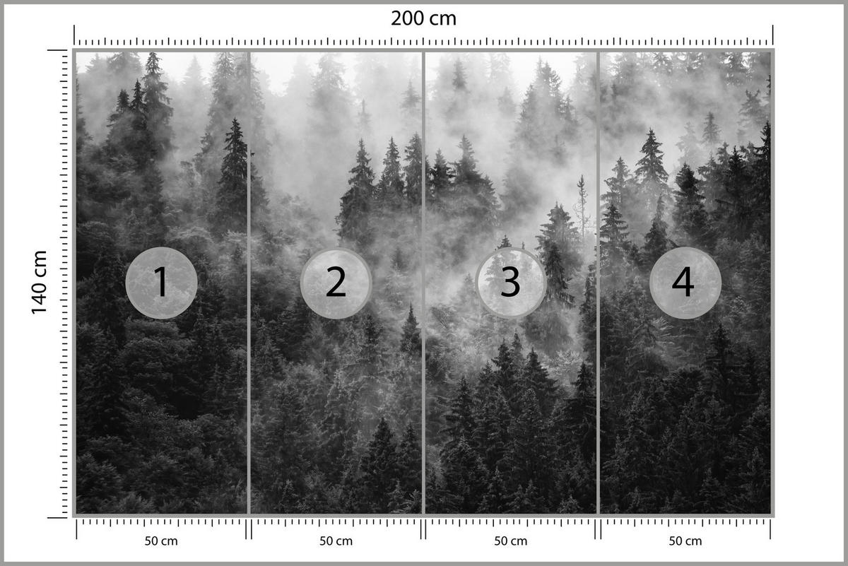 FOTOTAPETA Pre Obývaciu Izbu Hustá Hmla Les Stromy 200 x 140 cm - čierna/sivá, papier (200/140cm) - Muralo
