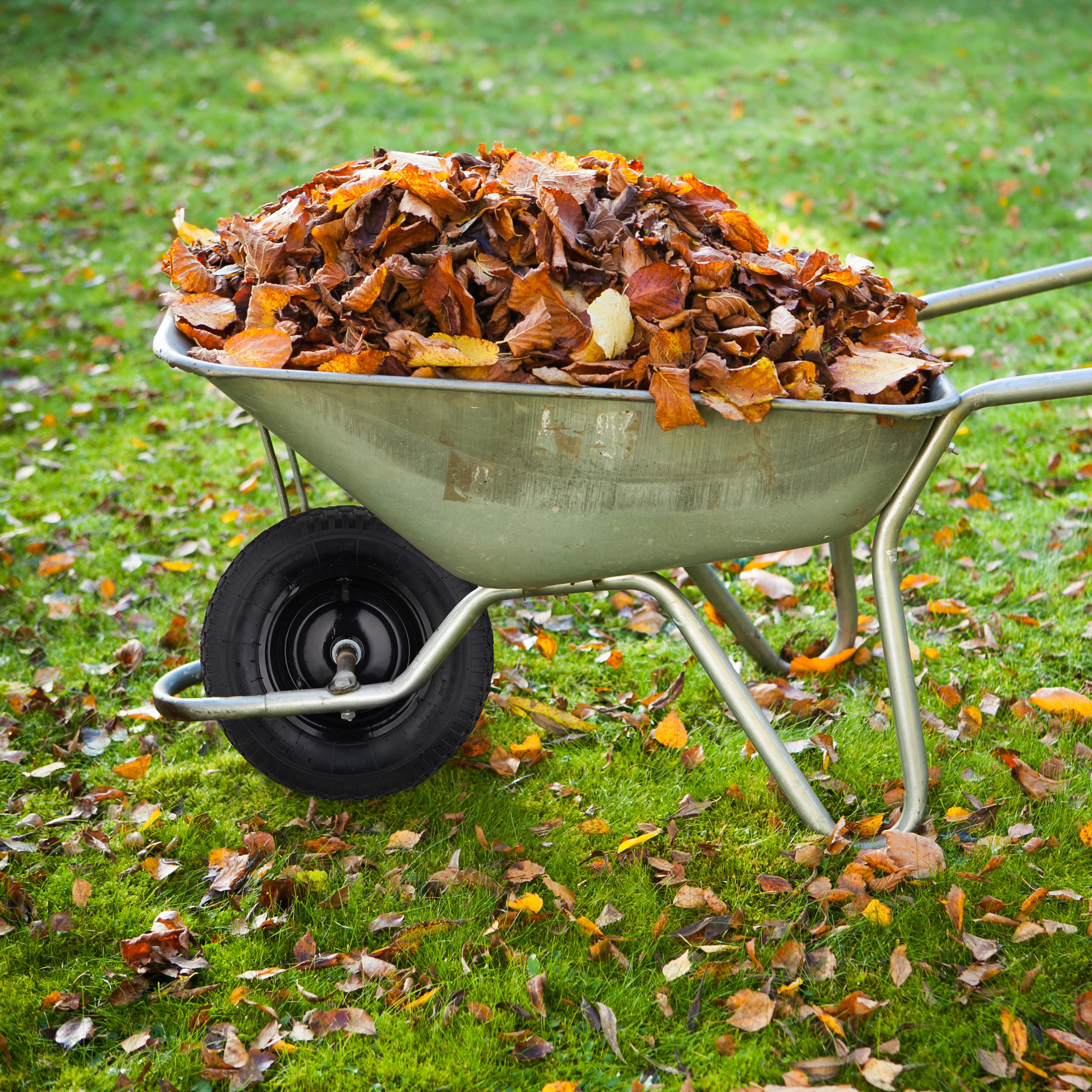 SCHUBKARRENRAD - Schwarz, Kunststoff/Metall (39/39/9cm) - Relaxdays