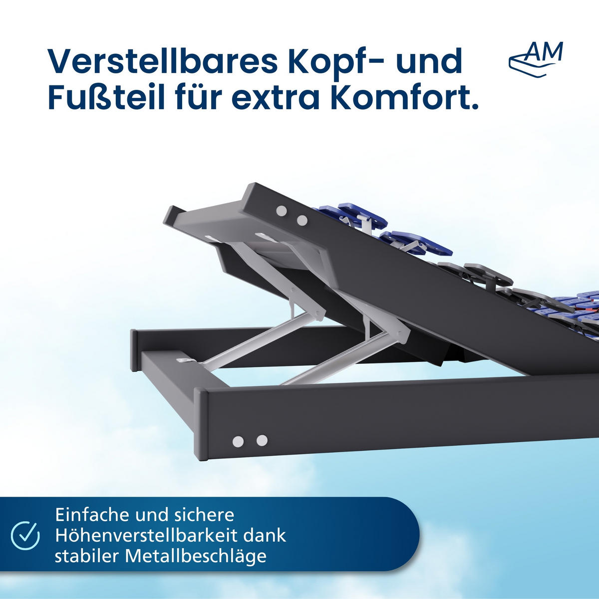 TELLERLATTENROST VERSTELLBAR 140/200 cm - Blau/Dunkelgrau, Holz (140/200cm) - AM Qualitätsmatratzen