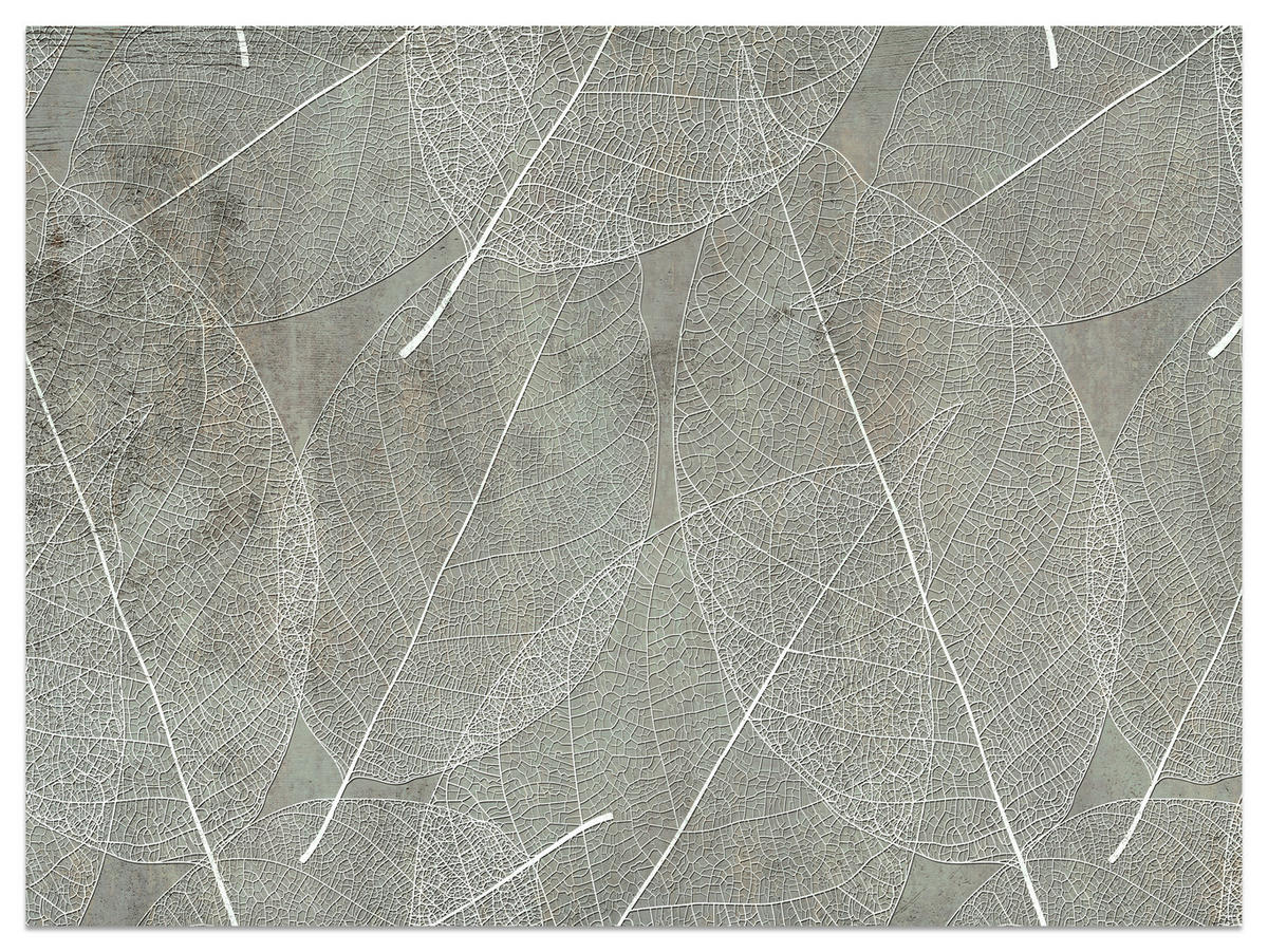 FOTOTAPETE für Wohnzimmer Weiße Blätter auf Beton Minimal 250x175 - Weiß/Grau, Papier (250/175cm) - Muralo