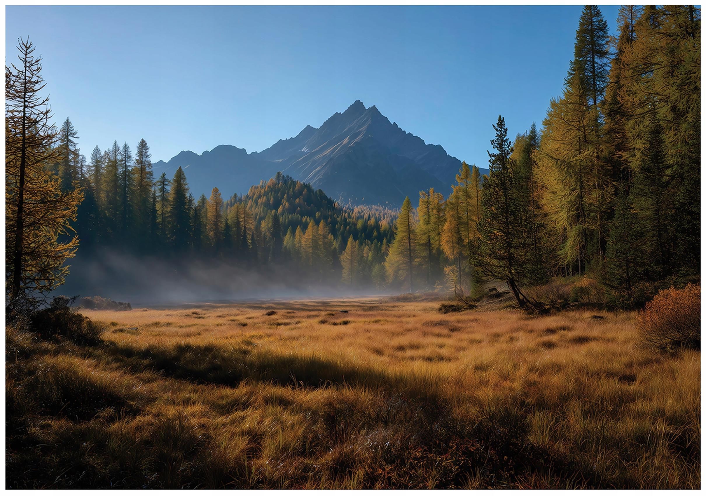FOTOTAPETE Gebirge Wald Braun 250x175 cm - Multicolor, Papier (250/175cm) - Wallarena
