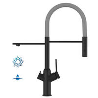4-WEGE-KÜCHENARMATUR, Schwarz Matt und Grau, 2-Strahl-Brause - Schwarz, Metall (20.61/48/20.61cm) - VIZIO