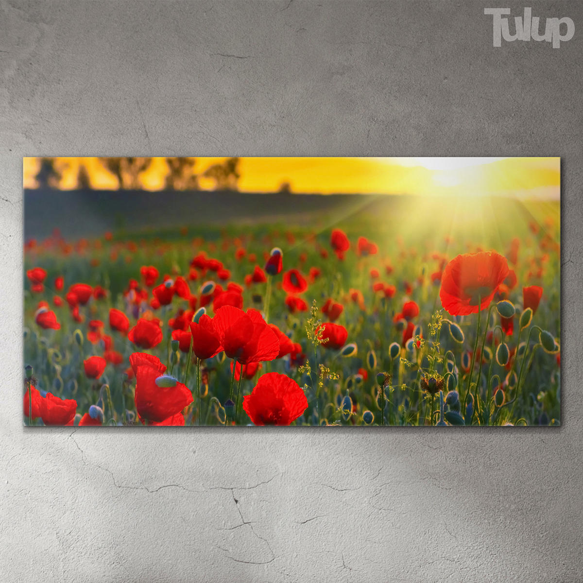 GLASBILD 120x60 cm Sonnenuntergangsfeld - Rot, Glas (120/60cm) - TULUP