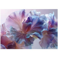 FOTOTAPETE Blumen Abstrakt Lila 400x280 cm - Multicolor, Papier (400/280cm) - Wallarena