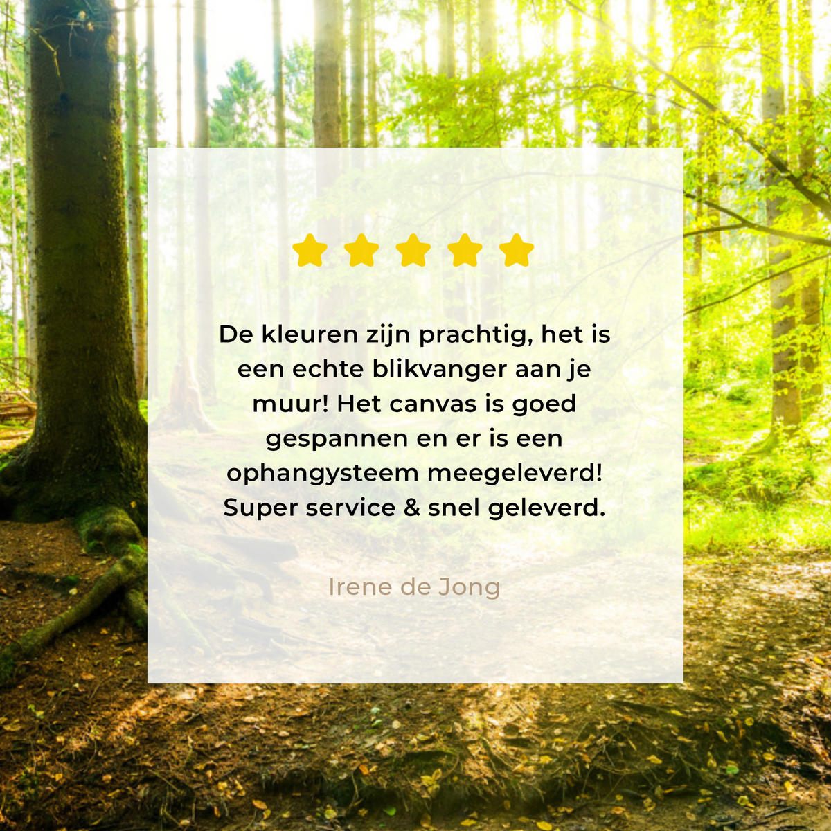 LEINWANDBILD Wald - Landschaft - Wasser - Bäume - Sonne - Grün - Natur 20x20 cm - Grün, Textil (20/20cm) - MuchoWow