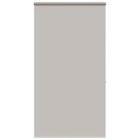 ROLLO für die Dusche 120/240 cm Stoffbreite 116 cm aus PEVA Hellgrau - Hellgrau, Kunststoff (120/240cm) - vidaXL