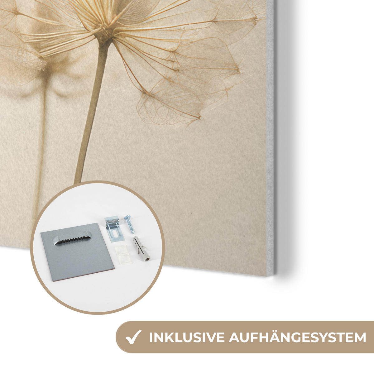 AKUSTIKPANEEL Sonnenlicht - Löwenzahn - Botanisch - Blumen 100x70 cm - Creme, Textil (100/0.9/70cm) - MuchoWow