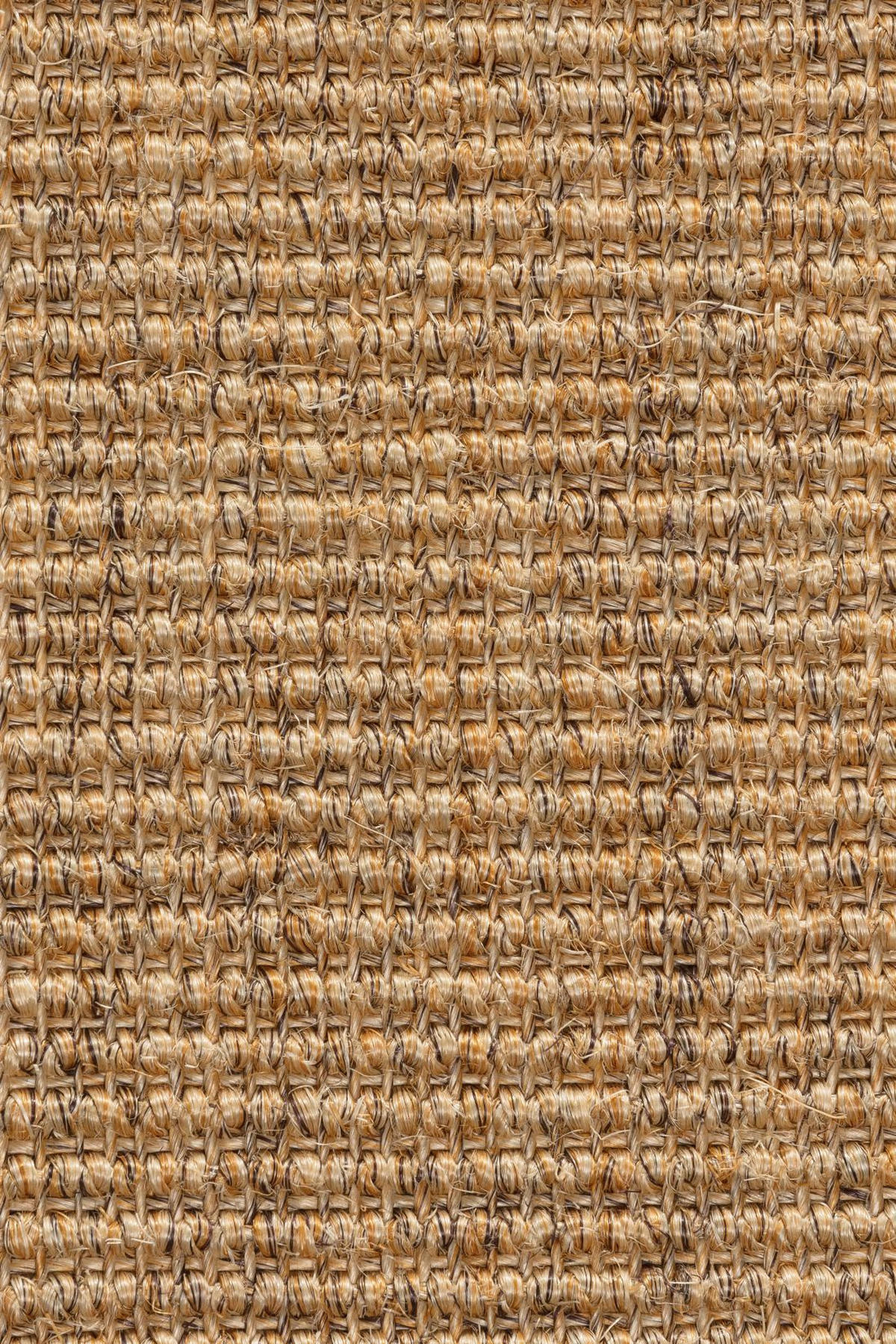 TEPPICH Sisal Manaus cognac/coffe 200x290cm - Hellbraun, Textil (200/290cm) - Astra