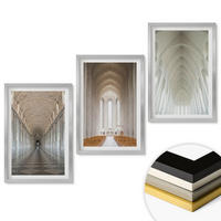 WANDBILDER 3er Set - 40x60 cm Silberner Rahmen - Innenräume historischer Gebäude - Silberfarben, Kunststoff (40/60cm) - ArtPrintCave