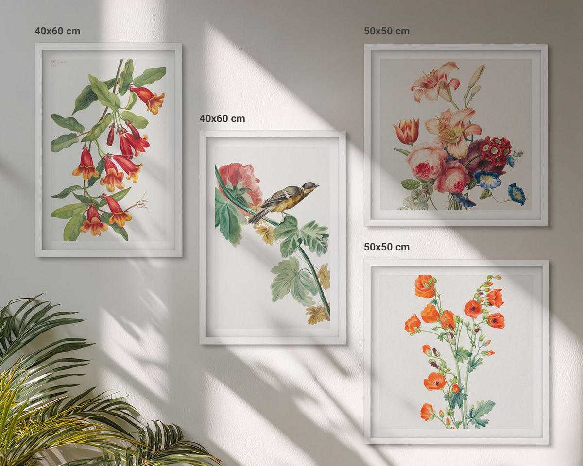 BILDER SET 4er Set - 50x50 cm & 40x60 cm Weißer Rahmen - Gemalte Blumen, Retro-Vogel - Weiß, Kunststoff (50/50cm) - TULUP