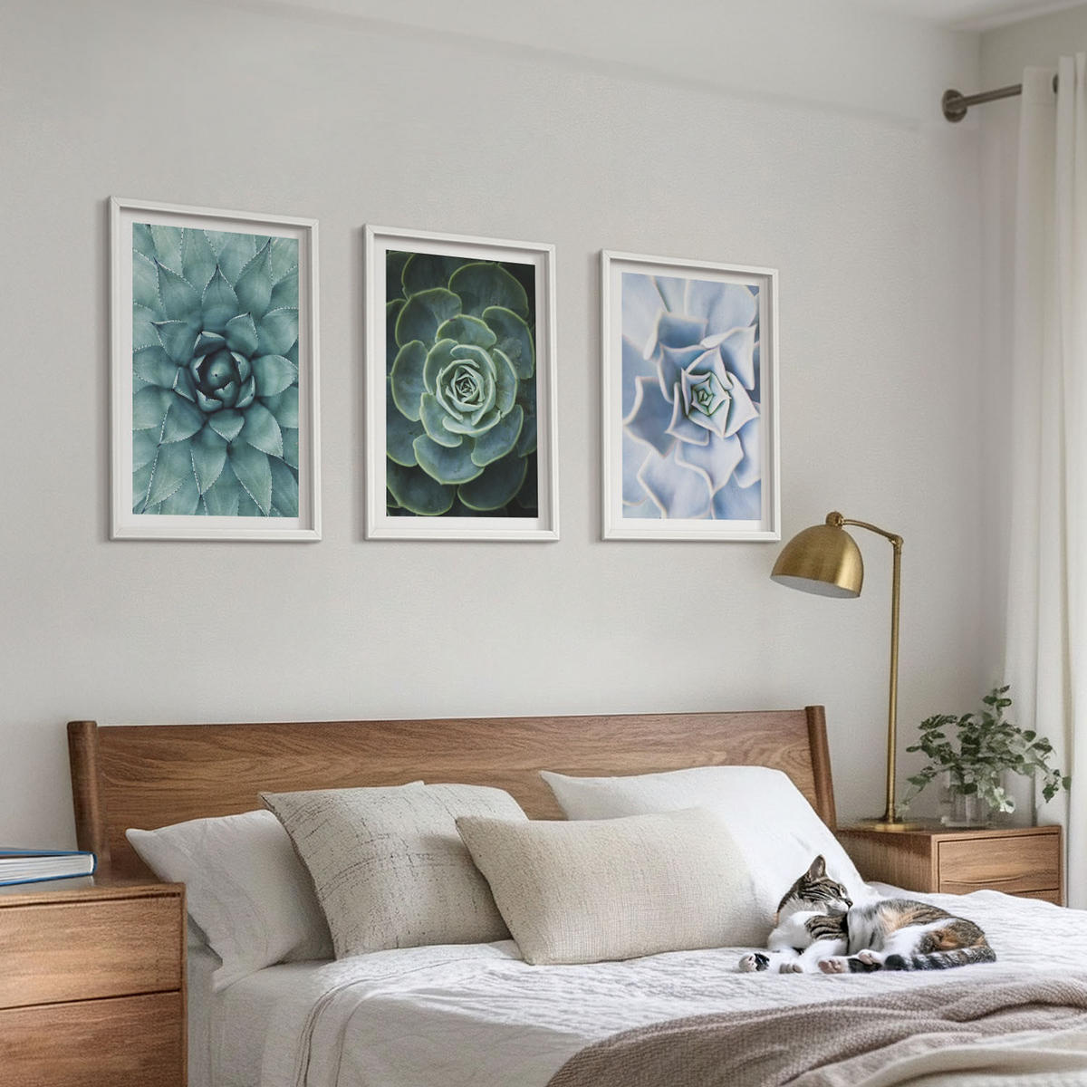 BILDER SET 3er Set - 40x60 cm Weißer Rahmen - Sukkulente Pflanzen grün türkis - Weiß, Kunststoff (40/60cm) - TULUP