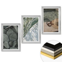 WANDBILDER 3er Set - 40x60 cm Silberner Rahmen - Tropische Pflanzen für den Urlaub - Silberfarben, Kunststoff (40/60cm) - ArtPrintCave