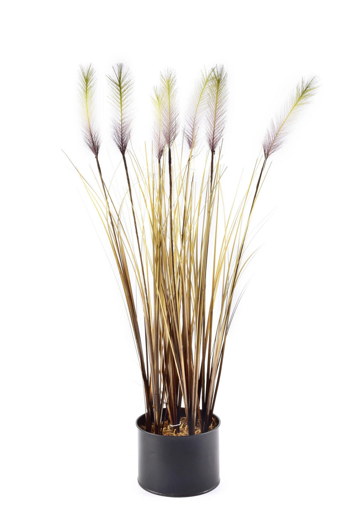 KUNSTPFLANZE Virdis Braun 65/12.5/65 cm Kunstoff - Braun, Kunststoff (65cm) - Mondex