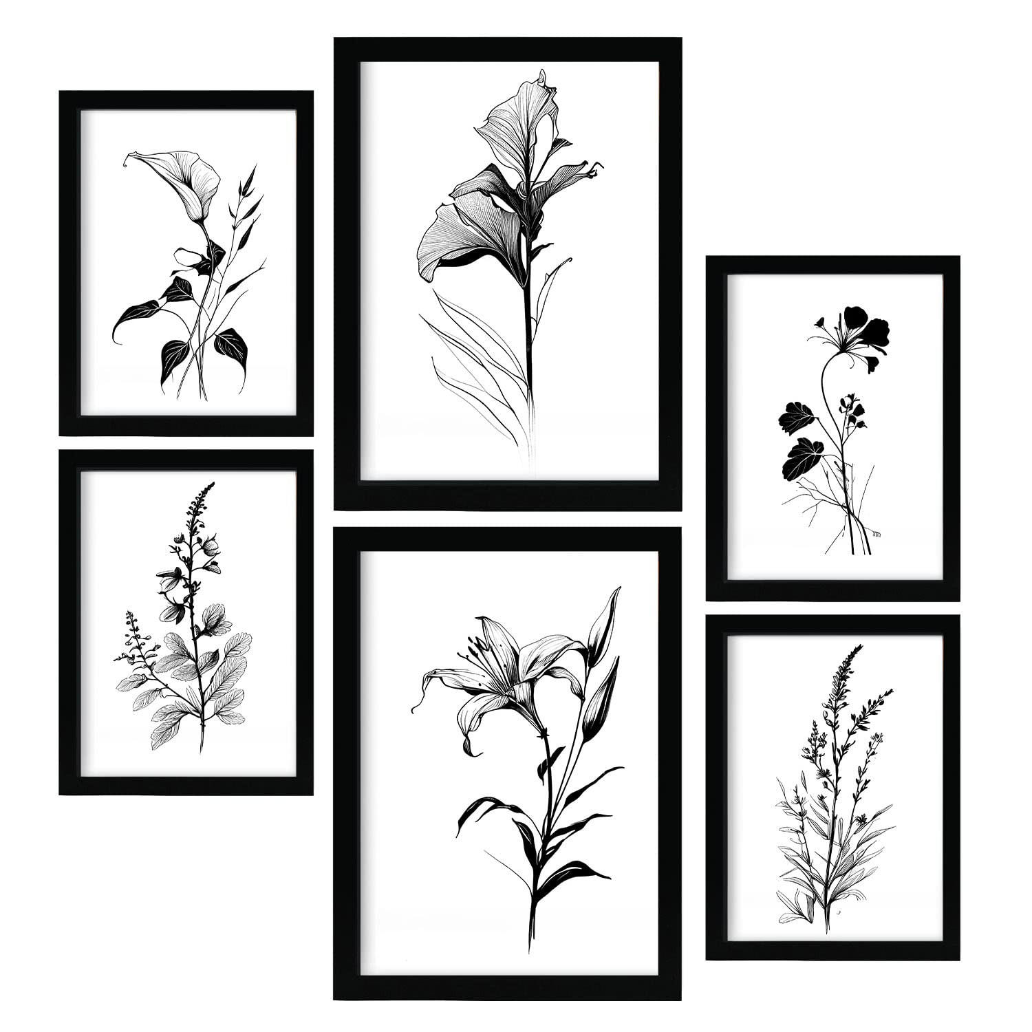 POSTER Set Mit 6 Ansteckblumen Blumenmotiven In Klassischem Schwarz Und Weiß A3 & A4 Rahmenlos - Klar, Papier (29/3cm) - Nacnic