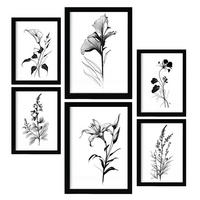 POSTER Set Mit 6 Ansteckblumen Blumenmotiven In Klassischem Schwarz Und Weiß A3 & A4 Rahmenlos - Klar, Papier (29/3cm) - Nacnic