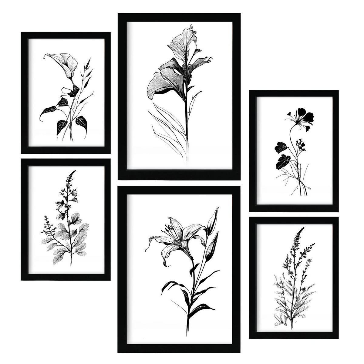 POSTER Set Mit 6 Ansteckblumen Blumenmotiven In Klassischem Schwarz Und Weiß A3 & A4 Rahmenlos - Klar, Papier (29/3cm) - Nacnic