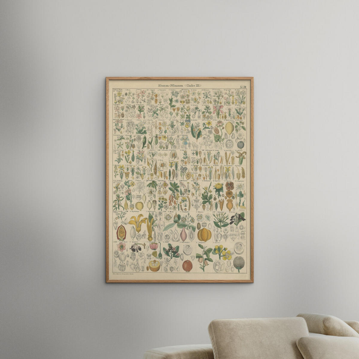 POSTER mit Rahmen Wild Apple - Flora Chart I - Eichefarben/Grün, Holz/Papier (30/40cm) - Poster&Frame