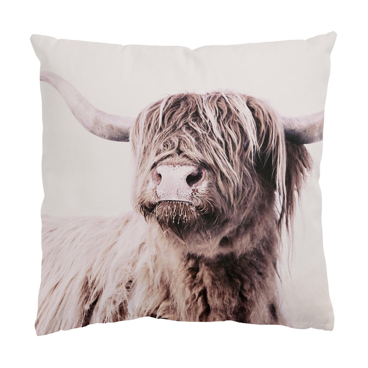 KISSENBEZUG Hochlandrind Frida in Beige 40/40 cm - Eichefarben, Textil (40/40cm) - Bilderwelten