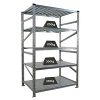 FACHBODENREGAL Proximo Stecksystem 200x120x80cm 5 Ebenen Fachlast 200 kg Beidseitig nutzbar Verzinkt - Silberfarben, Metall (120/200/80cm) - PROREGAL